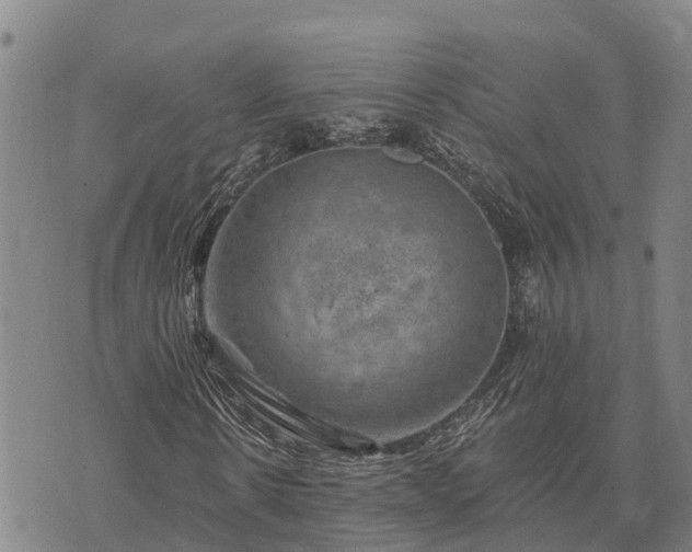 X0000074340914200609011624