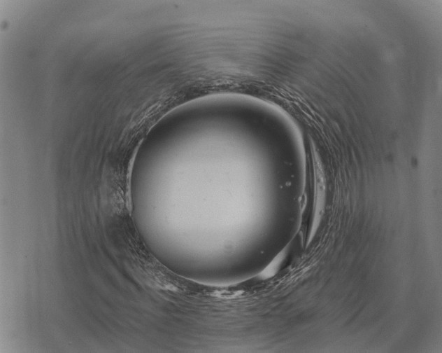 X0000074340916200609011624