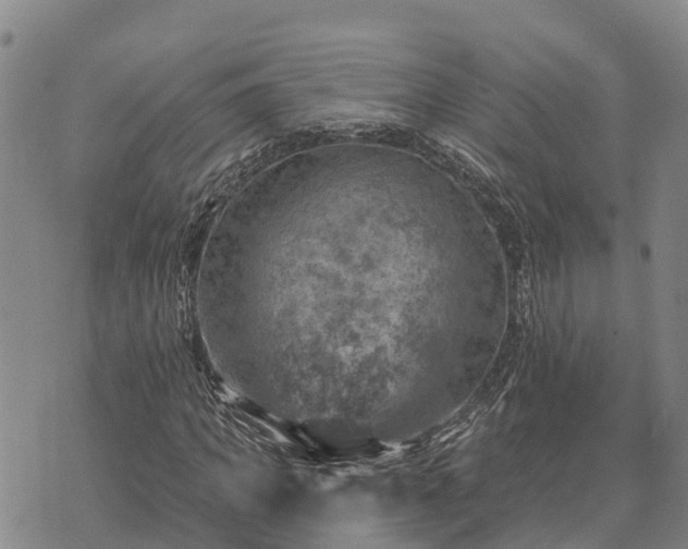 X0000074340917200609011624