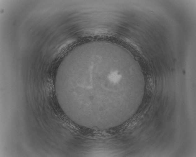 X0000074340918200609011624