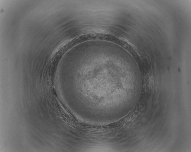 X0000074340919200609011624