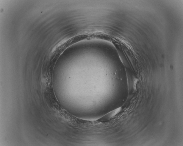 X0000074340920200609011624