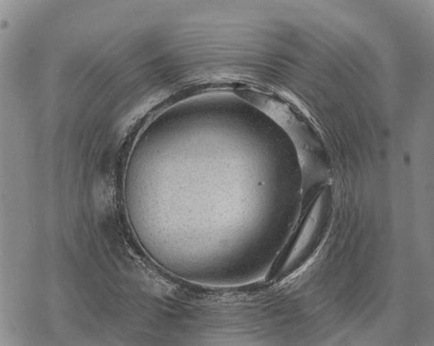 X0000074340922200609011624