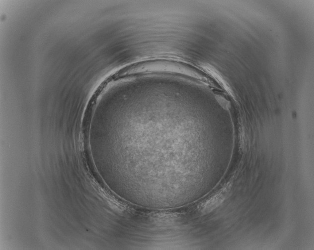 X0000074340924200609011624