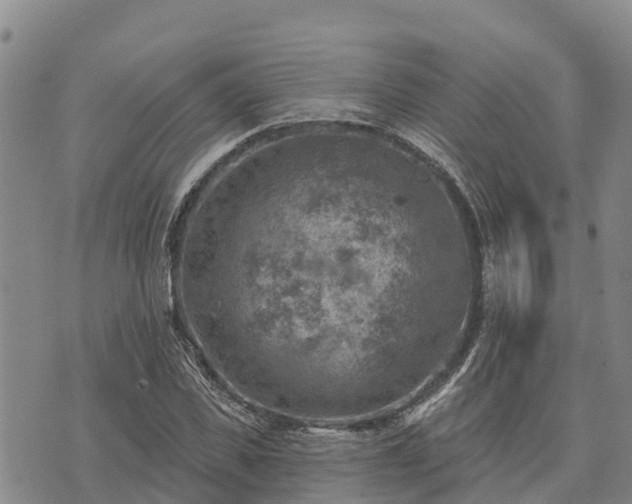 X0000074340925200609011624