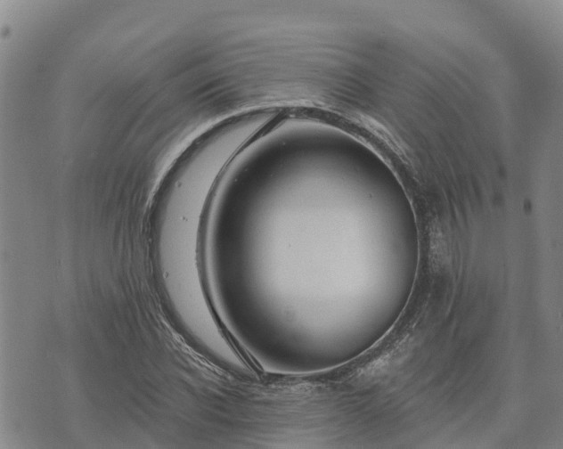 X0000074340926200609011624