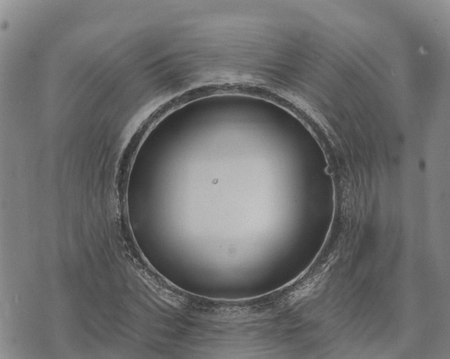 X0000074340927200609011624