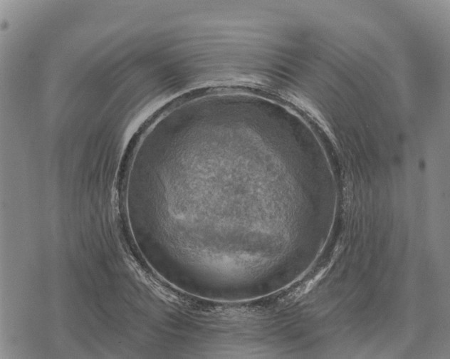 X0000074340928200609011624