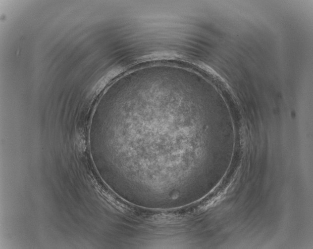 X0000074340929200609011624