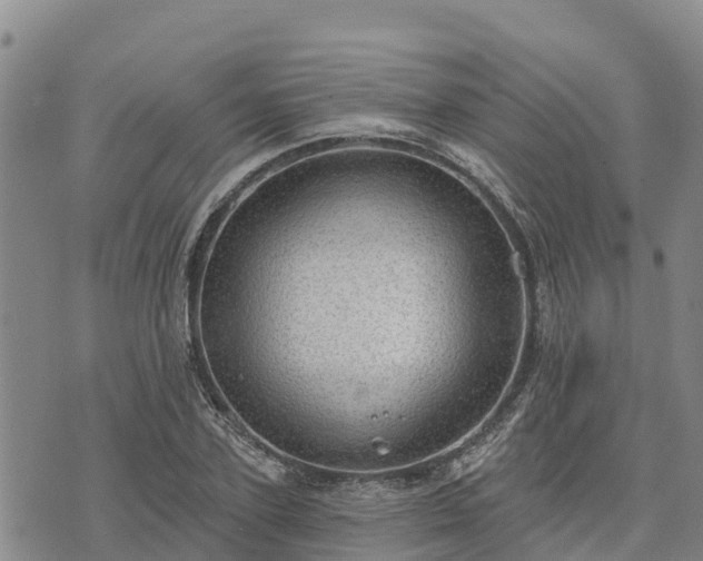 X0000074340931200609011624