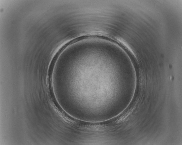 X0000074340932200609011624