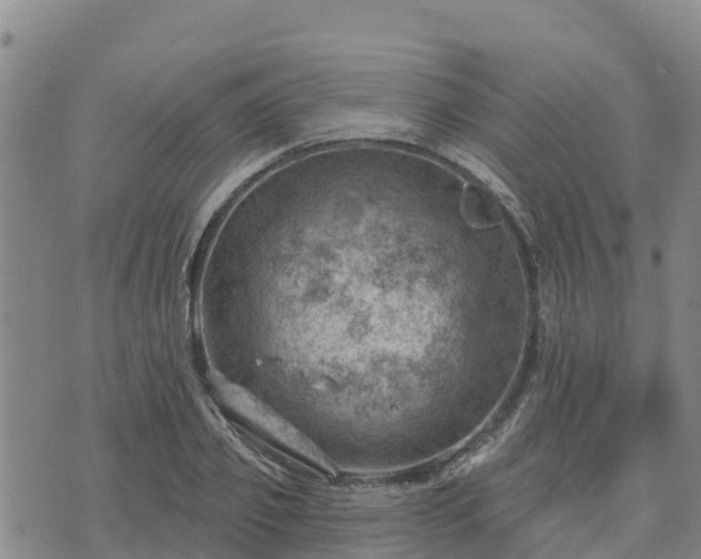 X0000074340933200609011624