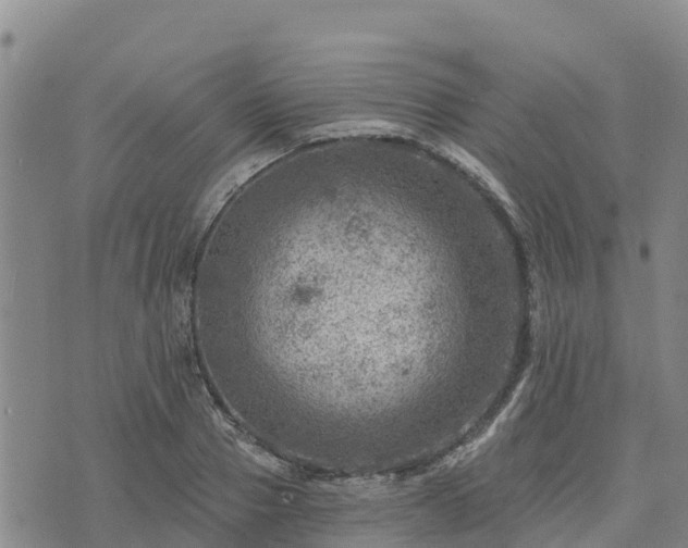 X0000074340937200609011624