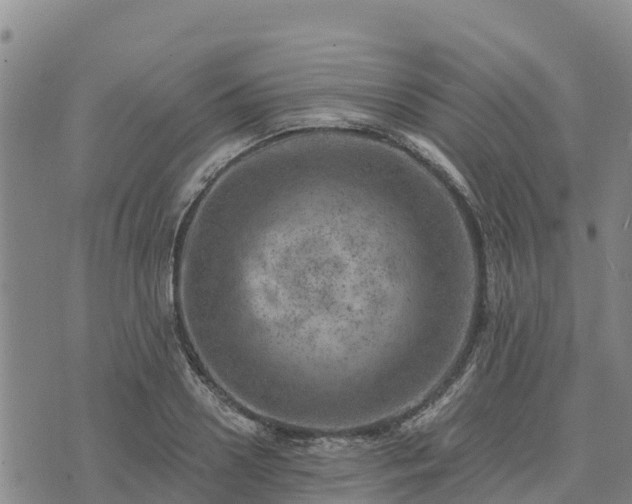 X0000074340938200609011624