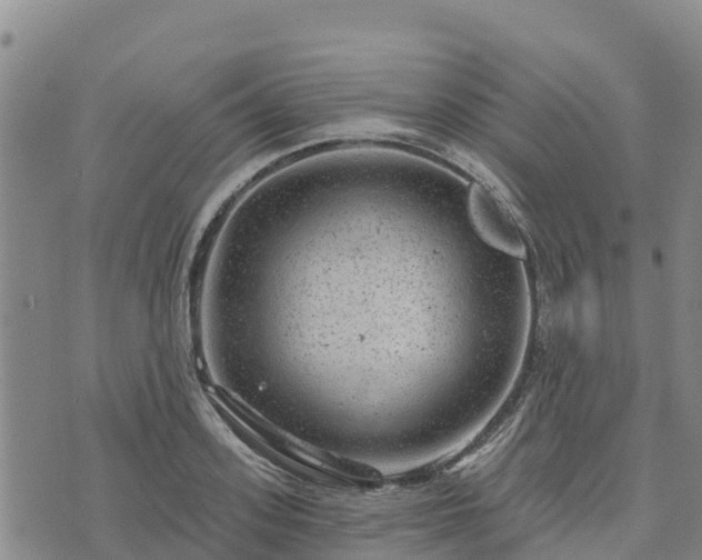 X0000074340939200609011624