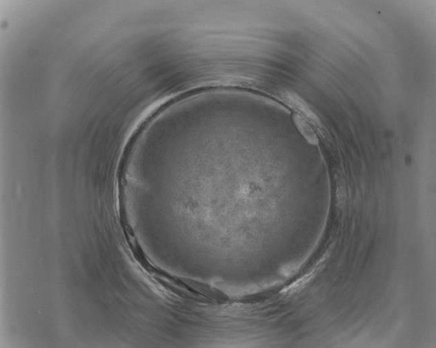 X0000074340940200609011624