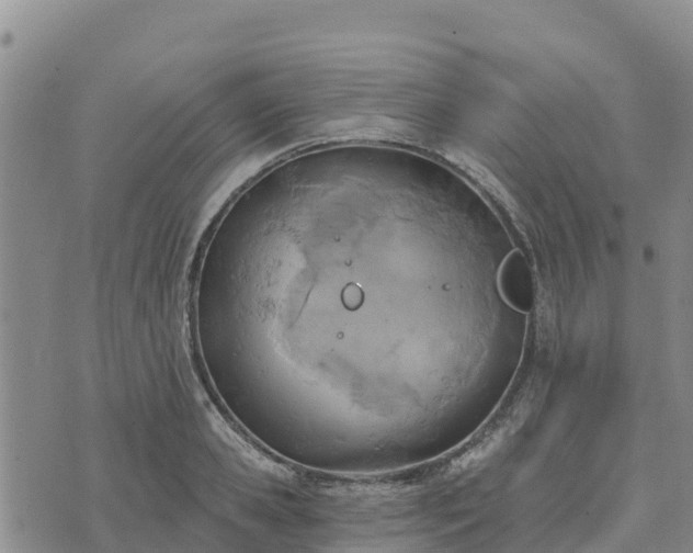 X0000074340941200609011624