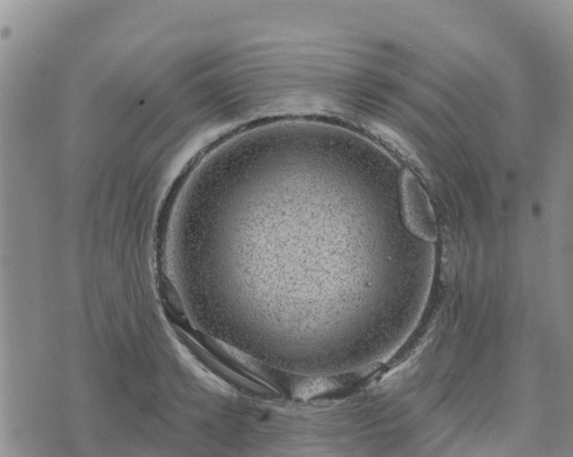 X0000074340942200609011624