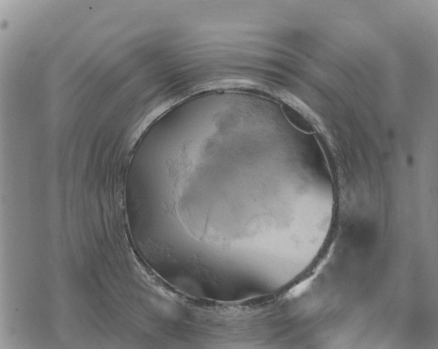 X0000074340945200609011624