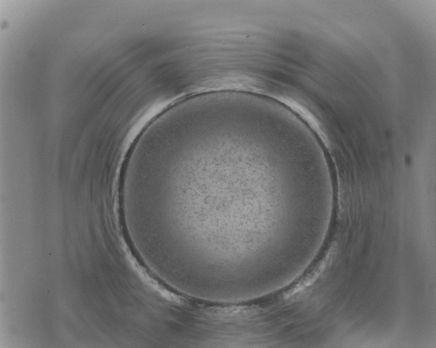 X0000074340949200609011624