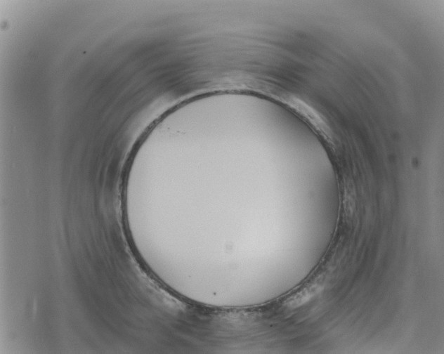 X0000074340950200609011624