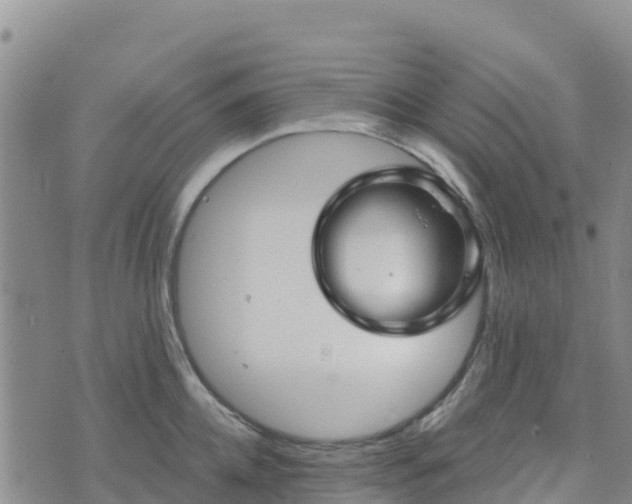 X0000074340952200609011624