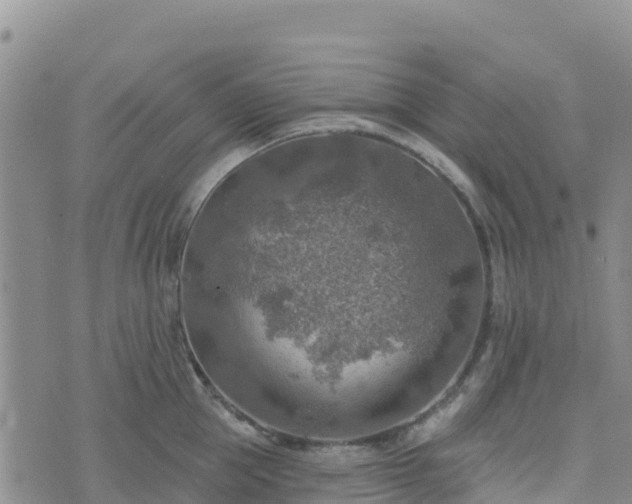 X0000074340953200609011624