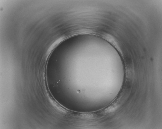 X0000074340954200609011624