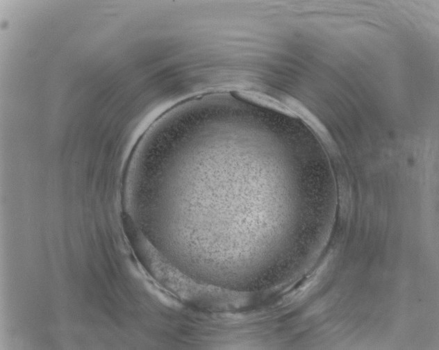 X0000074340956200609011625