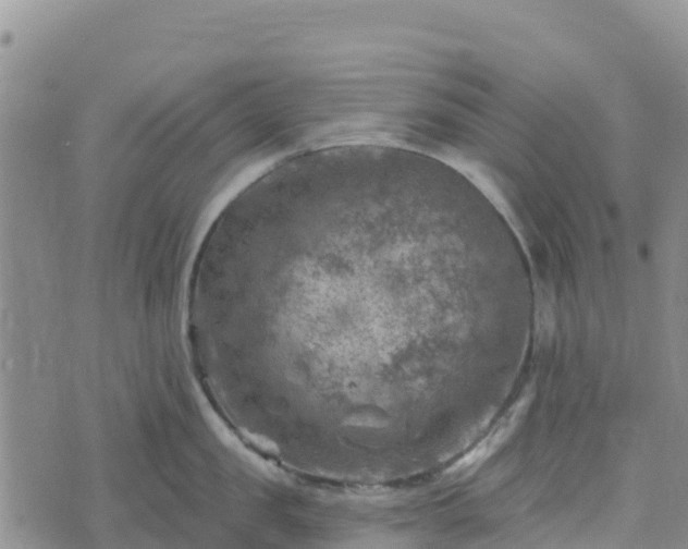 X0000074340957200609011625