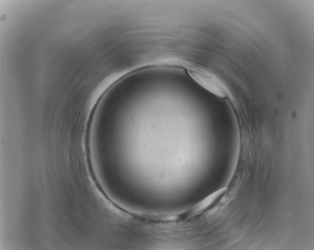 X0000074340959200609011625