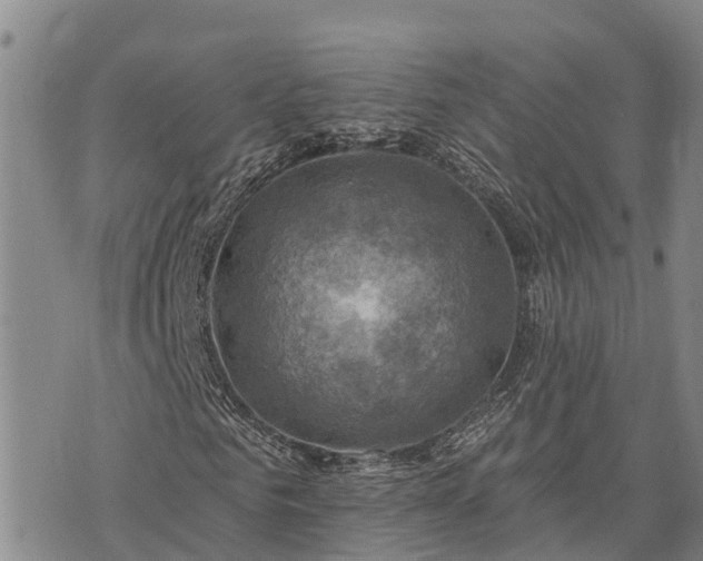 X0000074340961200609011624