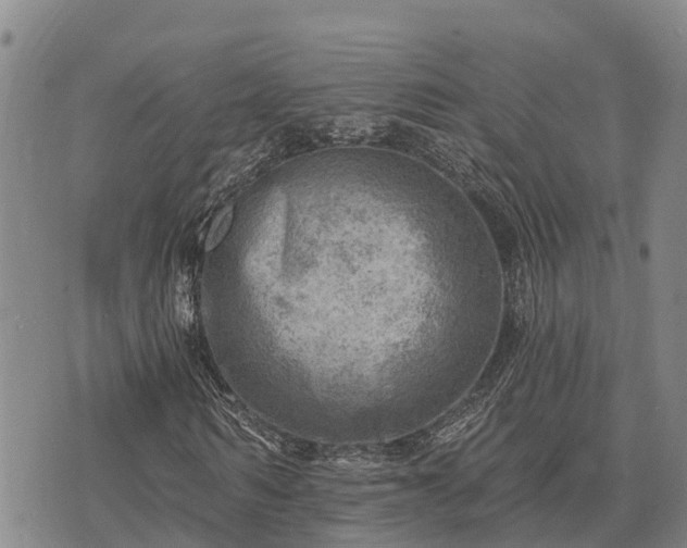 X0000074340962200609011624