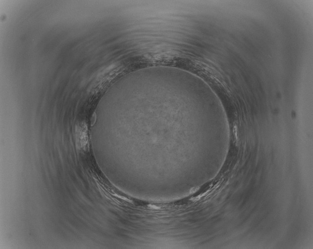 X0000074340963200609011624