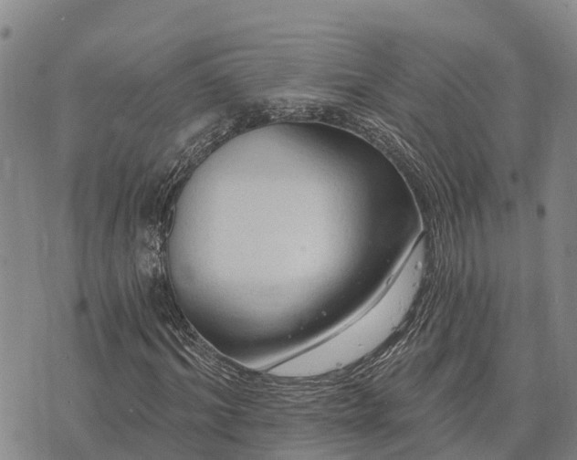 X0000074340964200609011624