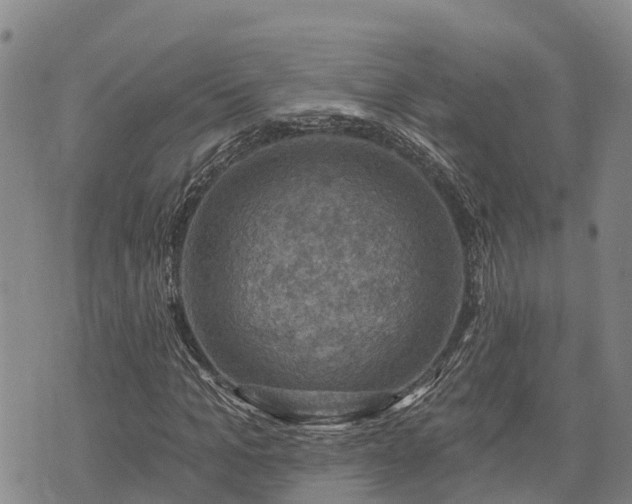 X0000074340965200609011624