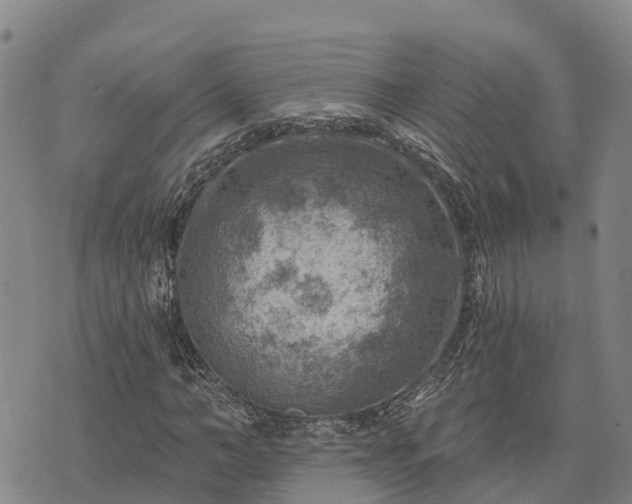 X0000074340966200609011624