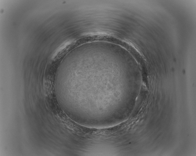 X0000074340967200609011624