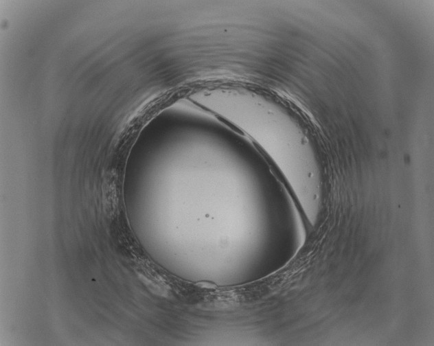 X0000074340968200609011624