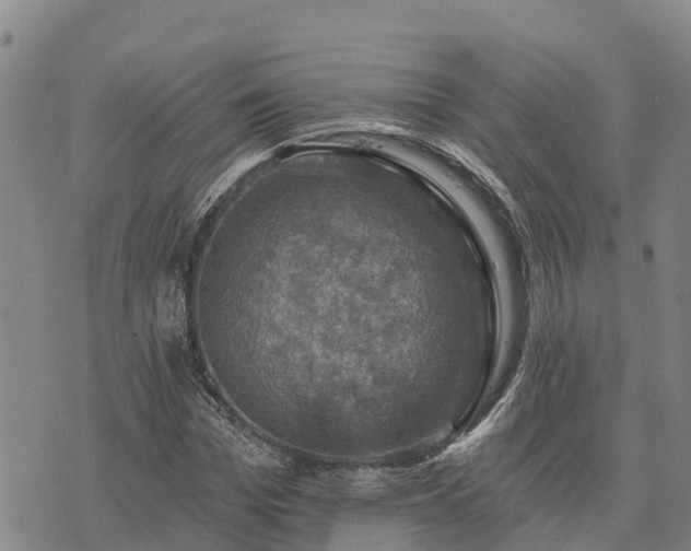 X0000074340969200609011624