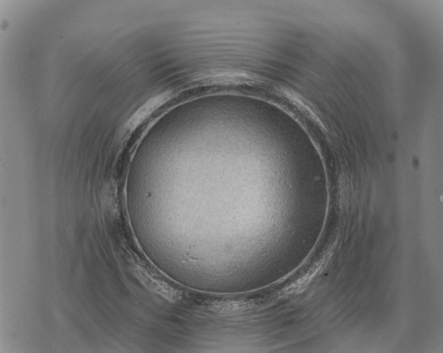 X0000074340970200609011624