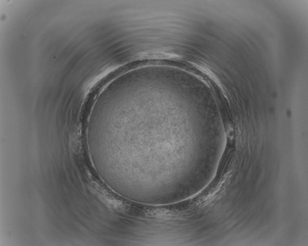 X0000074340971200609011624