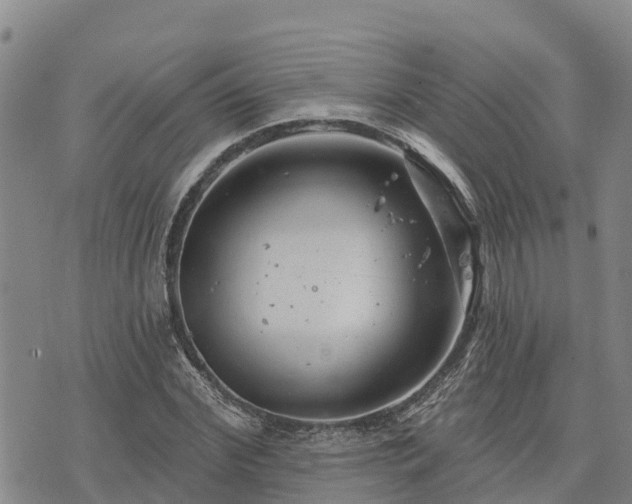 X0000074340972200609011624