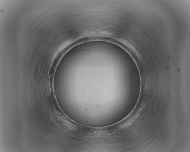 X0000074340974200609011624