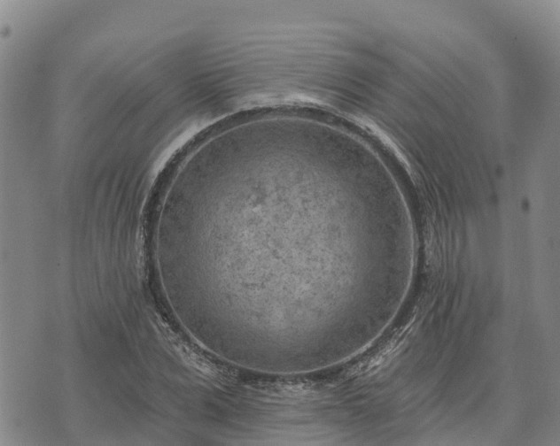 X0000074340975200609011624