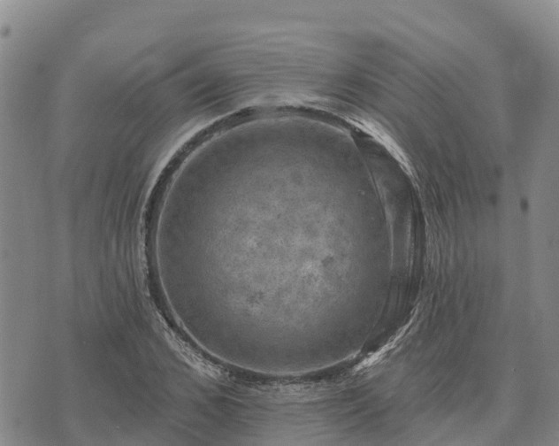 X0000074340976200609011624