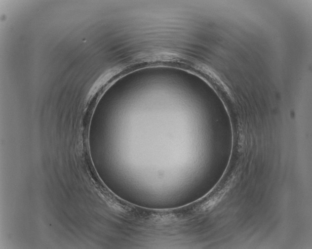 X0000074340978200609011624