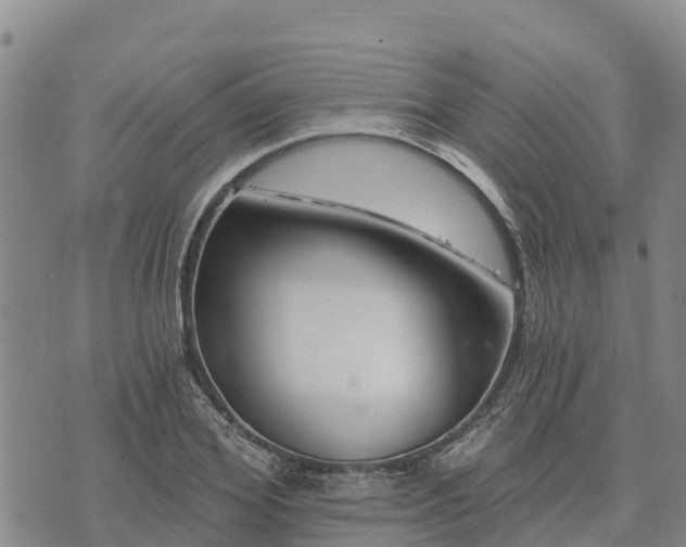 X0000074340980200609011623