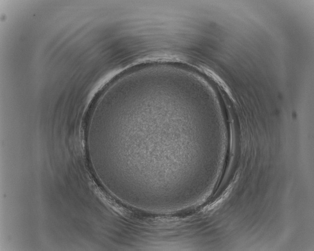 X0000074340981200609011623