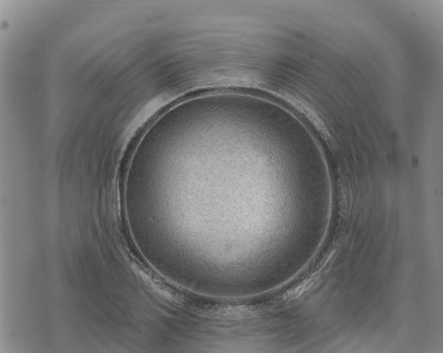 X0000074340982200609011623